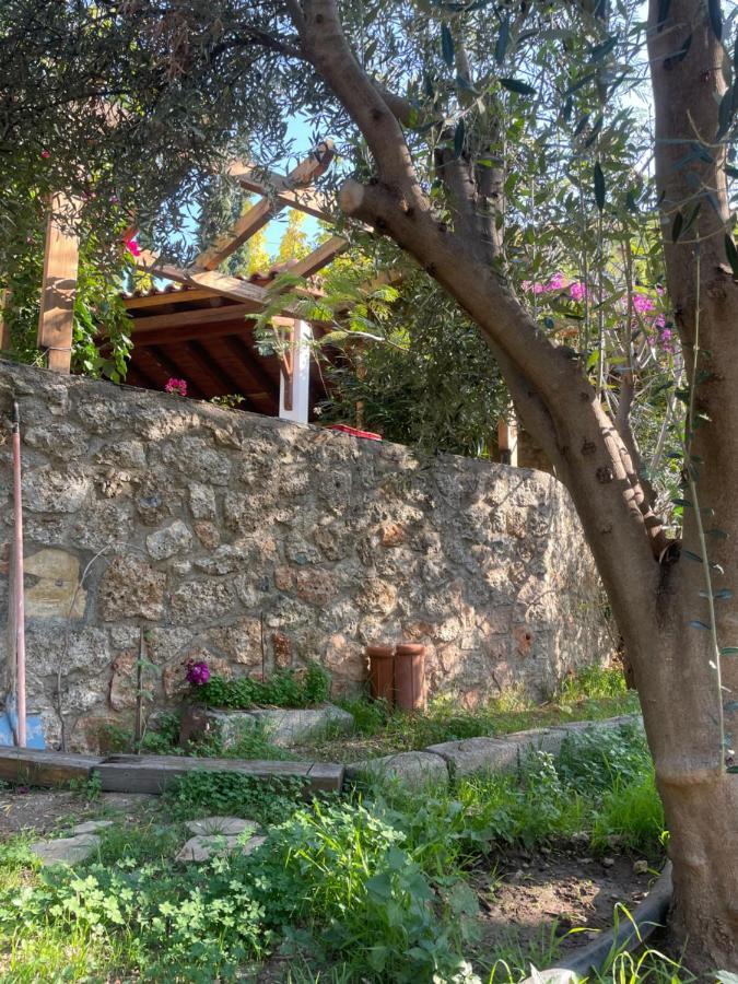 Peloponnese Hideout - Traditional Stone House Villa