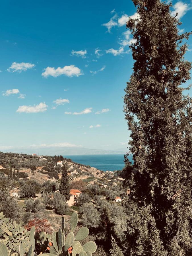 Peloponnese Hideout - Traditional Stone House Villa *